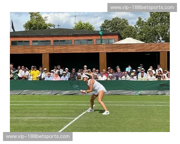 温网直播入口：一站式观赛体验全解析